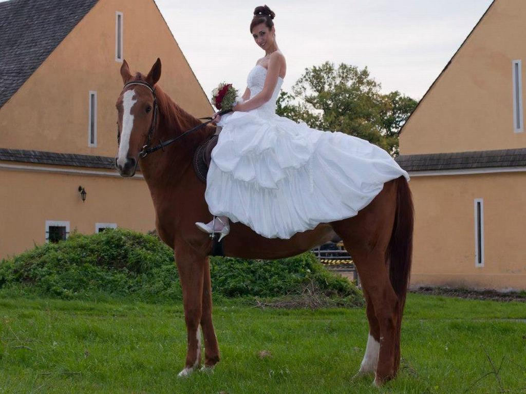 Dvur Olsiny -Hotel And Horse-Riding Karvina Luaran gambar