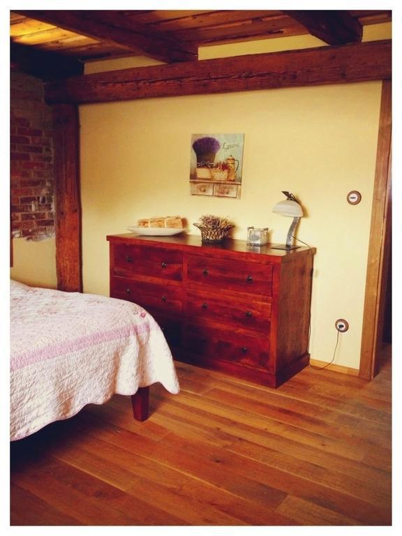 Dvur Olsiny -Hotel And Horse-Riding Karvina Bilik gambar