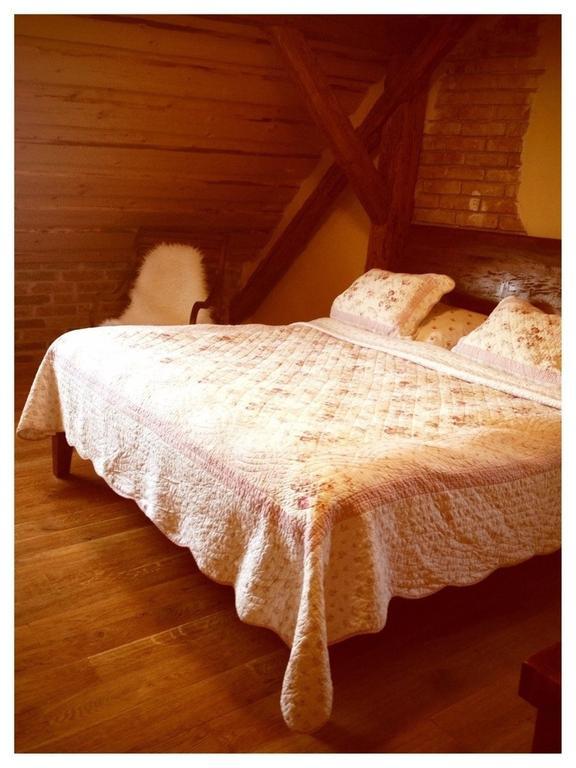 Dvur Olsiny -Hotel And Horse-Riding Karvina Bilik gambar